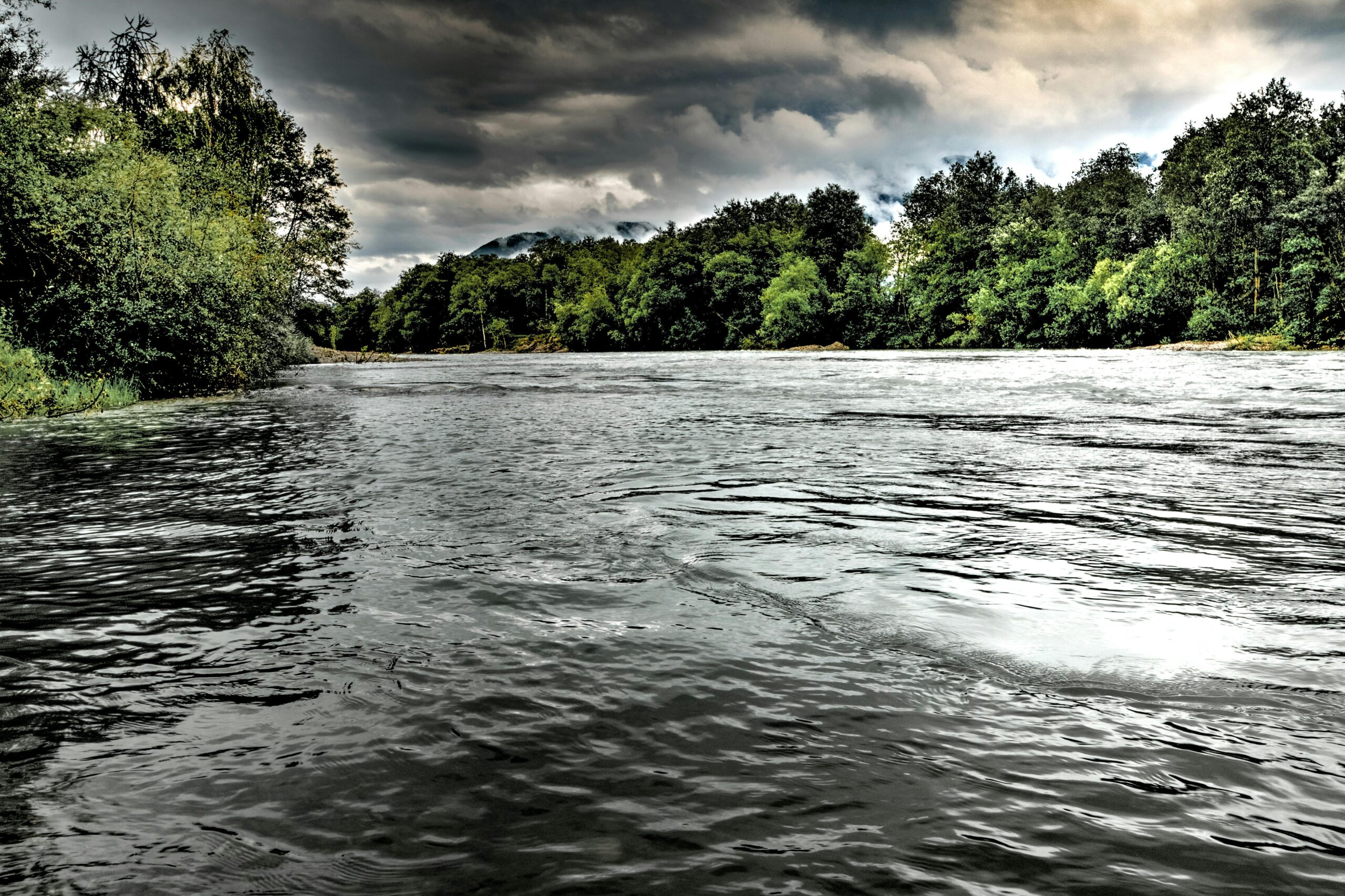 Steelhead 101: Everything You Need to Know Before Your First Trip